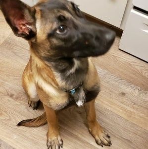 Meet your Posher, Shauna